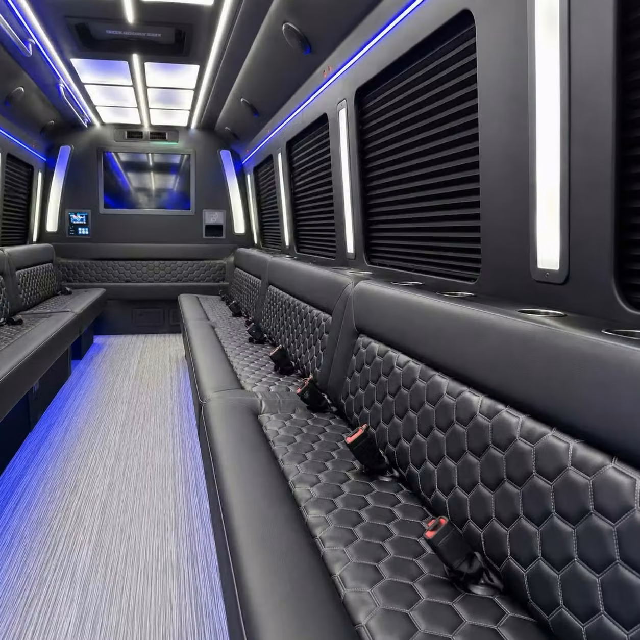 san pablo party bus party lighting