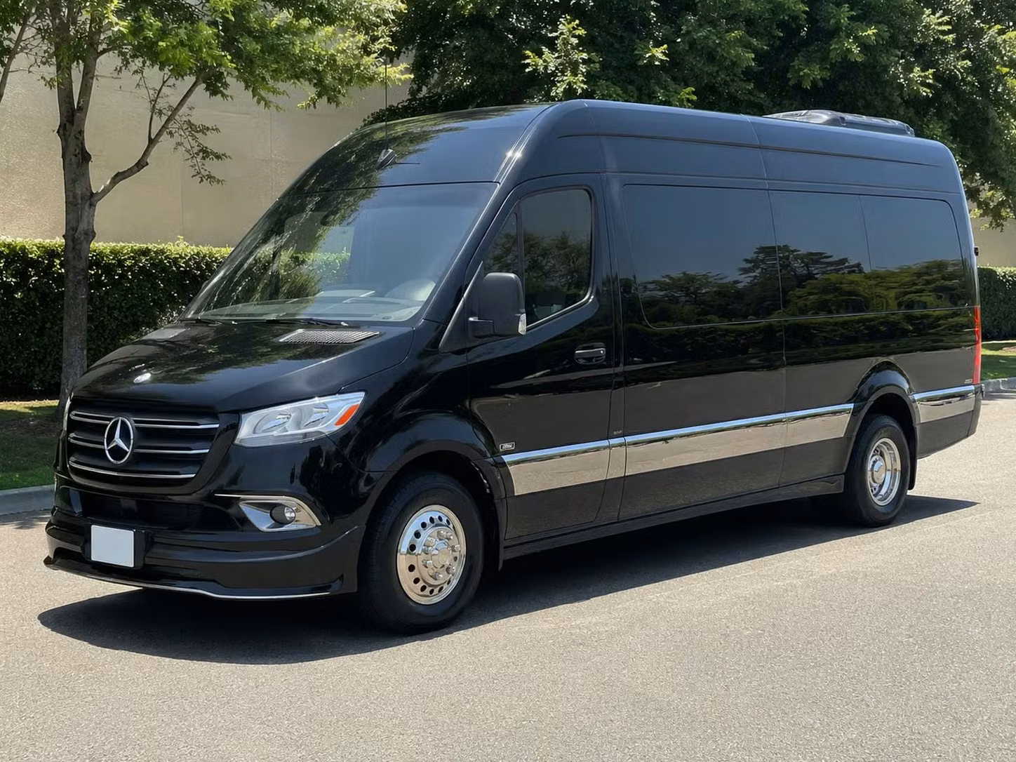 san pablo sprinter van rental with driver